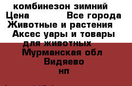 комбинезон зимний › Цена ­ 1 300 - Все города Животные и растения » Аксесcуары и товары для животных   . Мурманская обл.,Видяево нп
